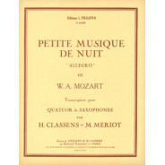 Petite musique de nuit : allegro