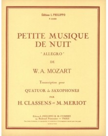 Petite musique de nuit : allegro