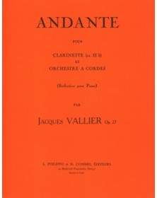 Andante Op.27