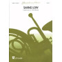 Swing Low