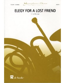 Elegy For a Lost Friend