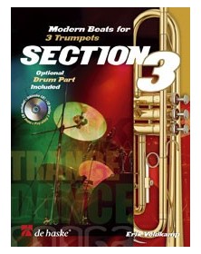 Section 3