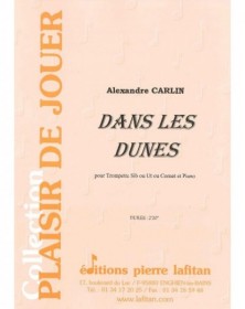 Alexandre Carlin : Dans Les Dunes
