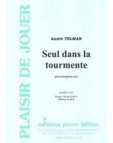Seul Dans la Tourmente - Trompette et Piano - André Telman