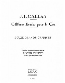 12 Grands Caprices Opus 32