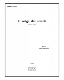 Il Neige Des Secrets