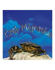 Crab Migration