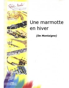 Une Marmotte En Hiver