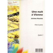 Une Nuit à Vienne
