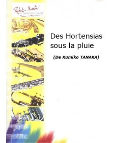 Des Hortensias Sous la Pluie