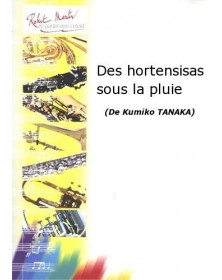 Des Hortensias Sous la Pluie