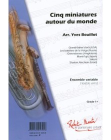 Cinq Miniatures Autour Du Monde