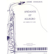 Andante et Allegro