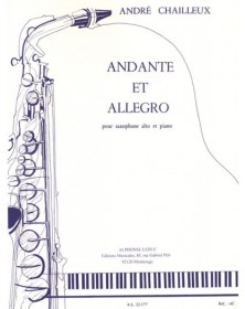Andante et Allegro