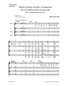 Gleichwie der Regen und...