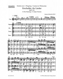 Erschallet, ihr Lieder