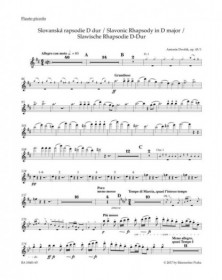 Slavonic Rhapsody No.1 in D...