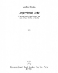 Ungewisses Licht [2014]