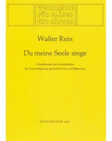 Du meine Seele, singe