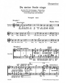 Du meine Seele, singe