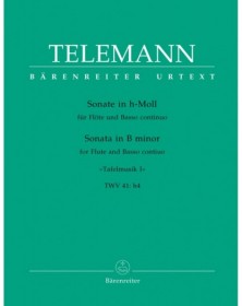 Solo in B minor TWV 41