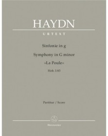 Symphony in G minor Hob....