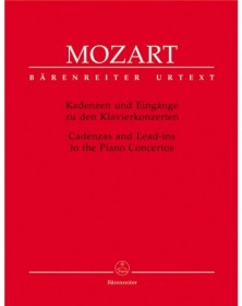 Cadenzas And Lead Ins To...