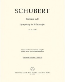 Symphony No.5 In B-Flat D 485