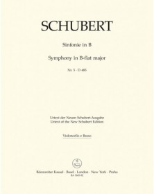 Symphony No.5 In B-Flat D 485