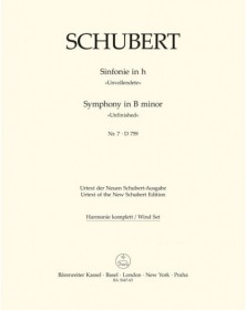 Symphony No.7 In B Minor D...