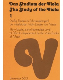 Das Studium der Viola