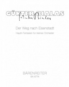 Der Weg nach Eisenstadt