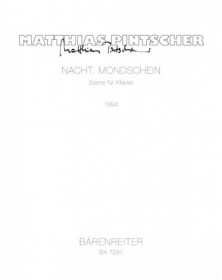 Nacht -Mondschein.
