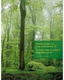 Praise And Thanks For Organ II