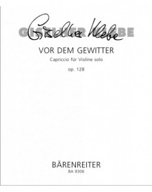 Vor dem Gewitter