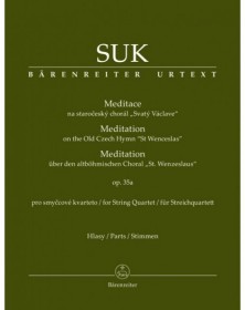 Meditation on the Old Czech...