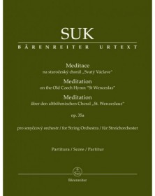 Meditation on the Old Czech...