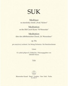 Meditation on the Old Czech...