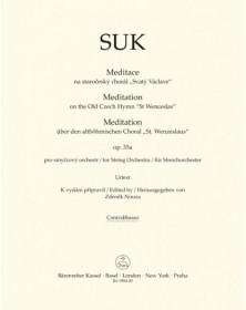 Meditation on the Old Czech...