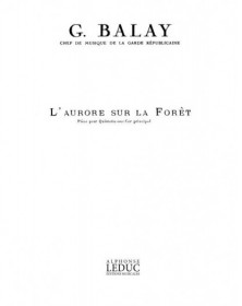 Aurore Sur La Foret