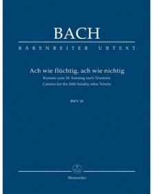 Ach Wie Flüchtig, Ach Wie...