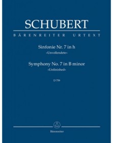 Symphony No.7 In B Minor D...