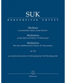 Meditation on the Old Czech...