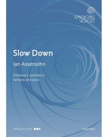 Ian Assersohn: Slow Down