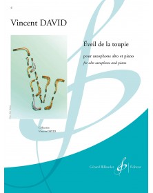 Vincent David : Eveil de la Toupie