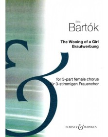 Wooing Of A Girl