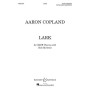 Lark