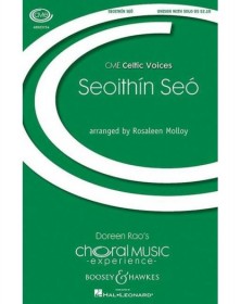 Seoithín Seó