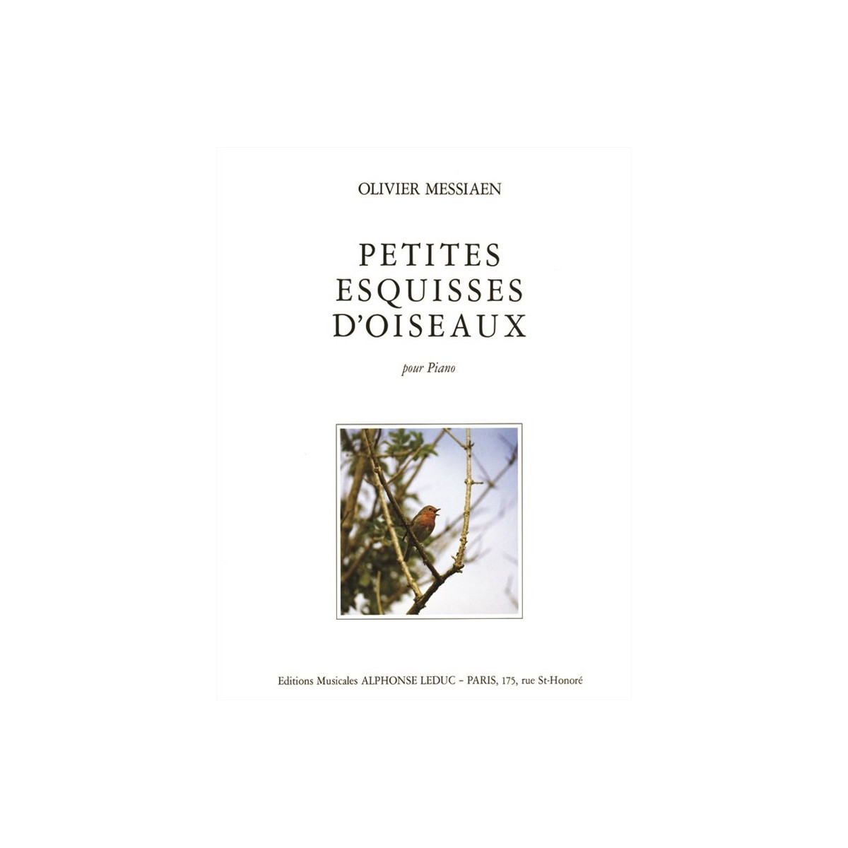 Petites Esquisses d'Oiseaux