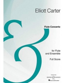 Flute Concerto